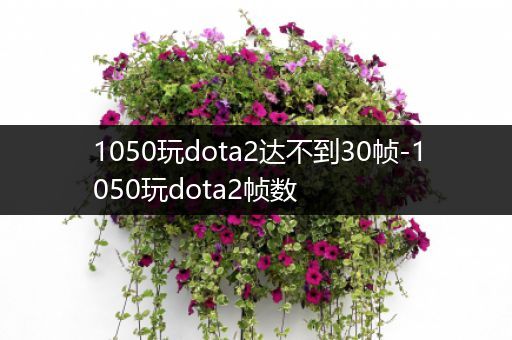 1050玩dota2达不到30帧-1050玩dota2帧数