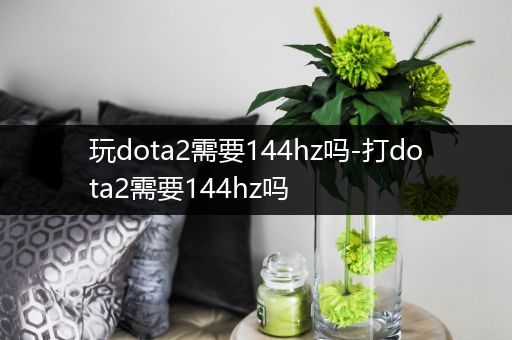 玩dota2需要144hz吗-打dota2需要144hz吗
