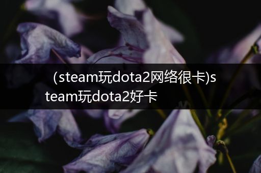 （steam玩dota2网络很卡)steam玩dota2好卡
