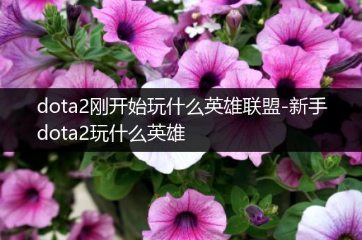 dota2刚开始玩什么英雄联盟-新手dota2玩什么英雄