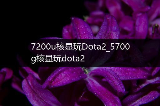 7200u核显玩Dota2_5700g核显玩dota2