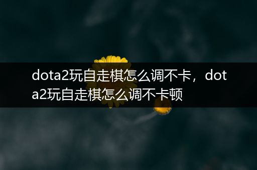 dota2玩自走棋怎么调不卡，dota2玩自走棋怎么调不卡顿