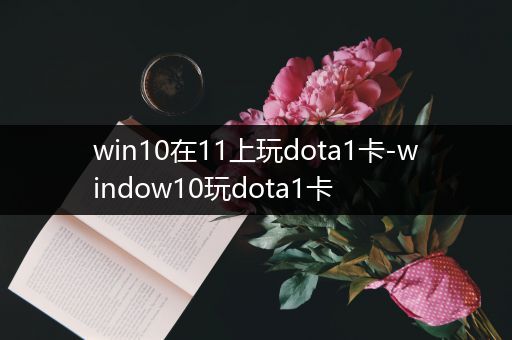 win10在11上玩dota1卡-window10玩dota1卡