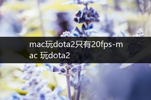 mac玩dota2只有20fps-mac 玩dota2