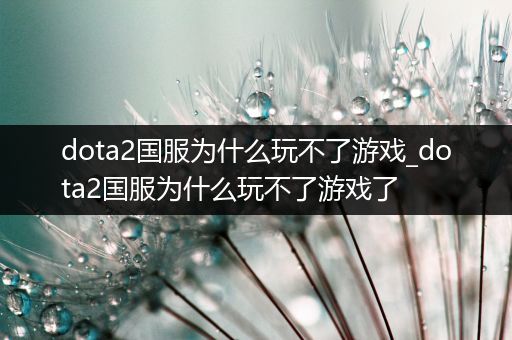 dota2国服为什么玩不了游戏_dota2国服为什么玩不了游戏了