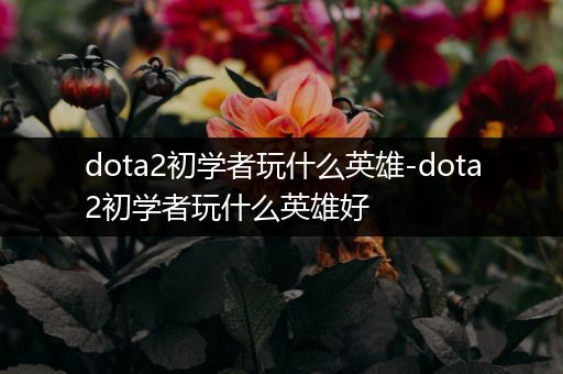 dota2初学者玩什么英雄-dota2初学者玩什么英雄好