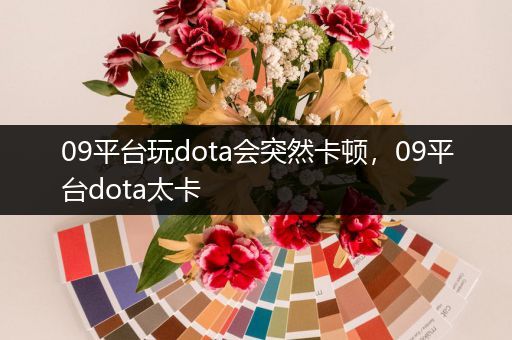 09平台玩dota会突然卡顿，09平台dota太卡