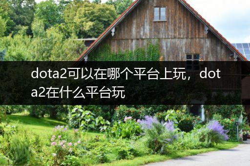 dota2可以在哪个平台上玩，dota2在什么平台玩