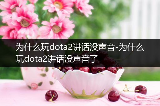 为什么玩dota2讲话没声音-为什么玩dota2讲话没声音了