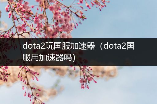 dota2玩国服加速器（dota2国服用加速器吗）