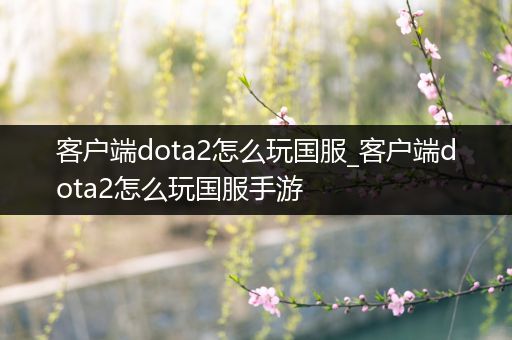 客户端dota2怎么玩国服_客户端dota2怎么玩国服手游