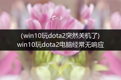 （win10玩dota2突然关机了)win10玩dota2电脑经常无响应