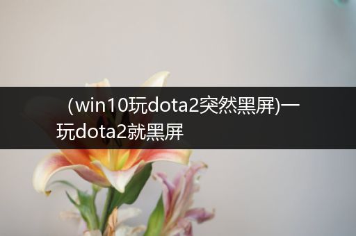 （win10玩dota2突然黑屏)一玩dota2就黑屏