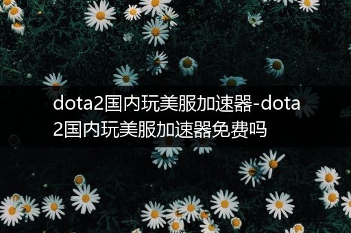 dota2国内玩美服加速器-dota2国内玩美服加速器免费吗