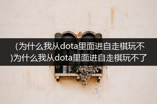 （为什么我从dota里面进自走棋玩不)为什么我从dota里面进自走棋玩不了