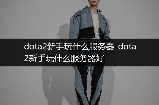 dota2新手玩什么服务器-dota2新手玩什么服务器好