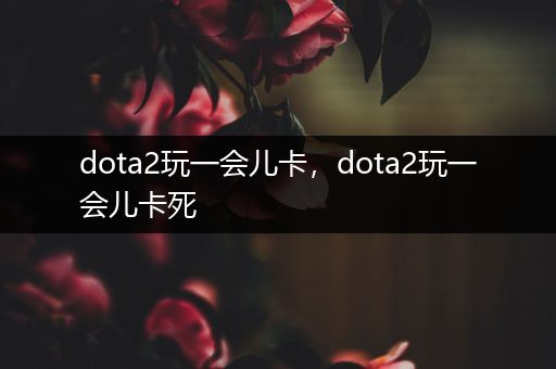 dota2玩一会儿卡，dota2玩一会儿卡死