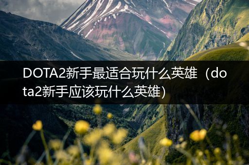 DOTA2新手最适合玩什么英雄（dota2新手应该玩什么英雄）