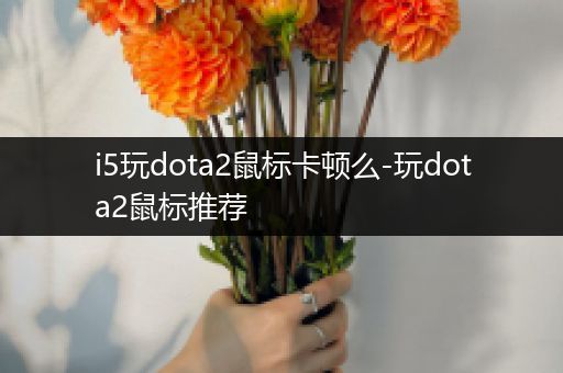 i5玩dota2鼠标卡顿么-玩dota2鼠标推荐