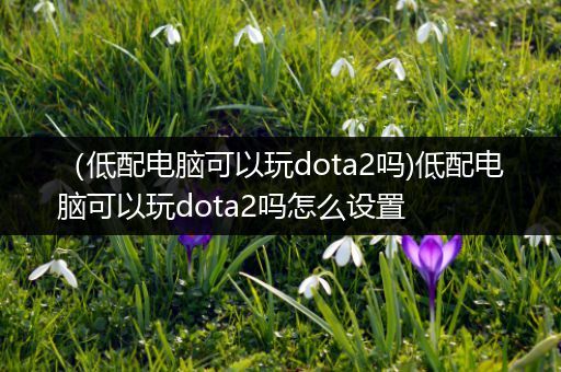 （低配电脑可以玩dota2吗)低配电脑可以玩dota2吗怎么设置