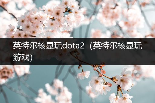 英特尔核显玩dota2（英特尔核显玩游戏）