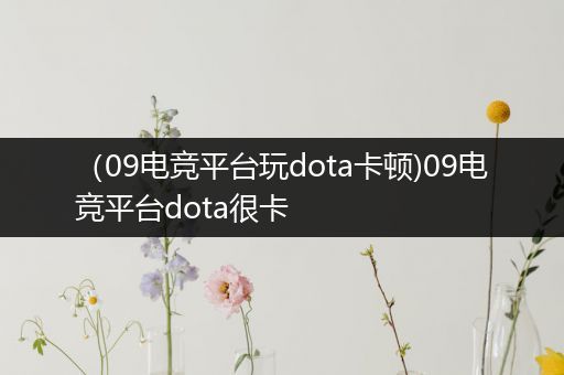 （09电竞平台玩dota卡顿)09电竞平台dota很卡