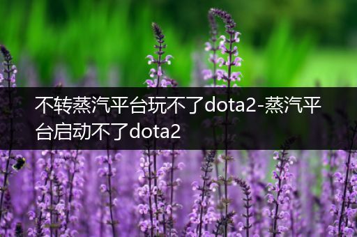 不转蒸汽平台玩不了dota2-蒸汽平台启动不了dota2