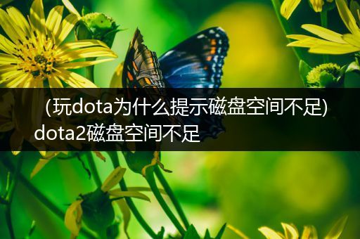 （玩dota为什么提示磁盘空间不足)dota2磁盘空间不足