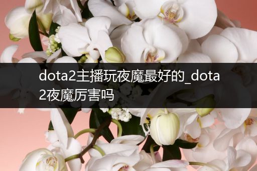 dota2主播玩夜魔最好的_dota2夜魔厉害吗