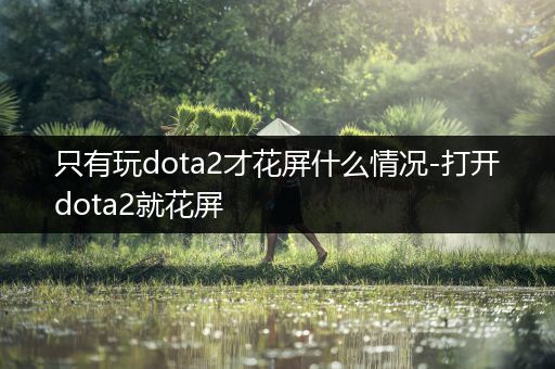 只有玩dota2才花屏什么情况-打开dota2就花屏