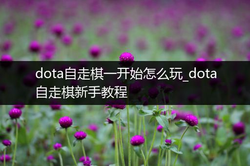 dota自走棋一开始怎么玩_dota自走棋新手教程