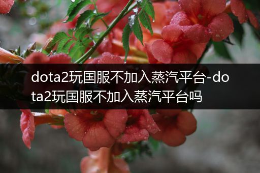 dota2玩国服不加入蒸汽平台-dota2玩国服不加入蒸汽平台吗