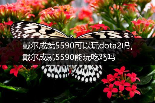 戴尔成就5590可以玩dota2吗，戴尔成就5590能玩吃鸡吗