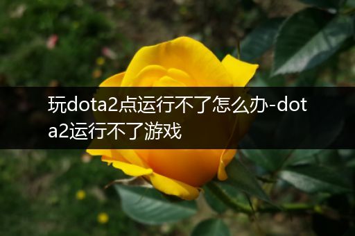 玩dota2点运行不了怎么办-dota2运行不了游戏