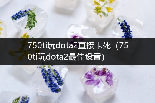 750ti玩dota2直接卡死（750ti玩dota2最佳设置）