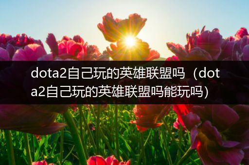 dota2自己玩的英雄联盟吗（dota2自己玩的英雄联盟吗能玩吗）