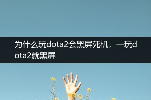 为什么玩dota2会黑屏死机，一玩dota2就黑屏