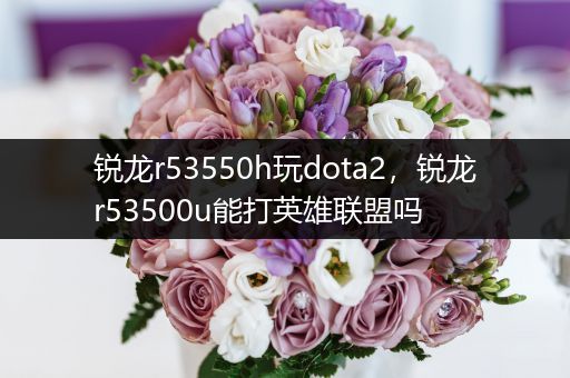 锐龙r53550h玩dota2，锐龙r53500u能打英雄联盟吗