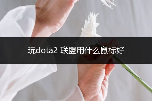 玩dota2 联盟用什么鼠标好