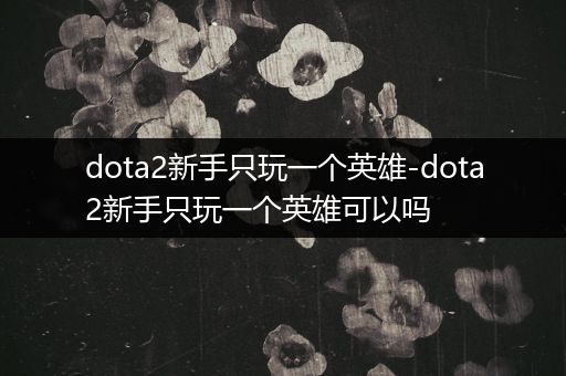 dota2新手只玩一个英雄-dota2新手只玩一个英雄可以吗