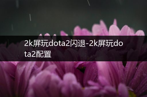 2k屏玩dota2闪退-2k屏玩dota2配置