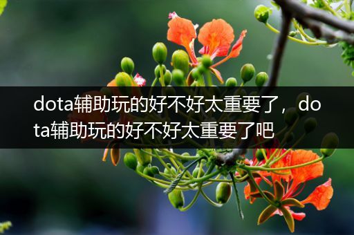 dota辅助玩的好不好太重要了，dota辅助玩的好不好太重要了吧