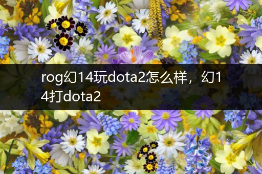 rog幻14玩dota2怎么样，幻14打dota2