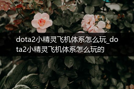 dota2小精灵飞机体系怎么玩_dota2小精灵飞机体系怎么玩的