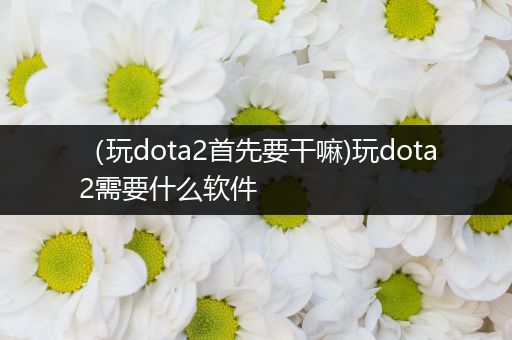 （玩dota2首先要干嘛)玩dota2需要什么软件