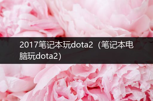 2017笔记本玩dota2（笔记本电脑玩dota2）