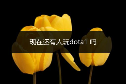 现在还有人玩dota1 吗