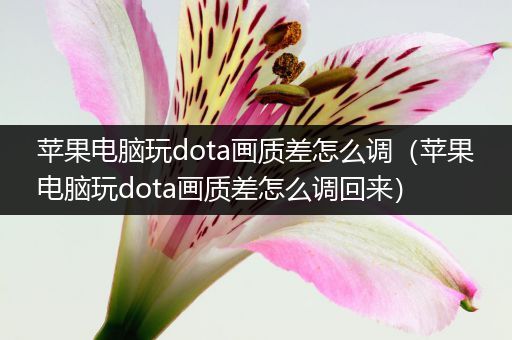 苹果电脑玩dota画质差怎么调（苹果电脑玩dota画质差怎么调回来）