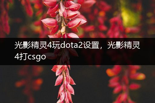 光影精灵4玩dota2设置，光影精灵4打csgo