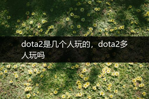 dota2是几个人玩的，dota2多人玩吗